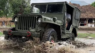 JEEP Jungle🌿offroading 1943 Ford “WILLYS” [upl. by Robinia]