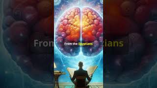 5 interesting facts about the pineal gland facts pinealgland thirdeye spirituality brain [upl. by Eldwen]