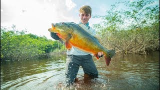 The Fish That Broke The Record  Amazon River BEAST [upl. by Annawit]