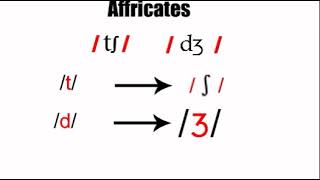 Affricates 2 phonetics course [upl. by Eiwoh]