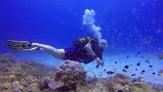 Mauritius Dive 2017 [upl. by Neras]