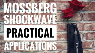 Mossberg Shockwave Practical Applications [upl. by Zoes461]