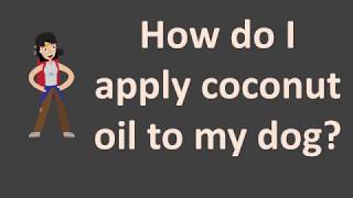 How do I apply coconut oil to my dog [upl. by Algie837]