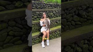 The animals 😂🤣 Fails funnyanimals animalsfunny pets shorts [upl. by Nelleh455]