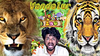 VANDALUR ZOO 2023 🦁 Arignar Anna Zoological Park VandalurChennai  Chennai Zoo [upl. by Gerdeen]