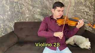 Violino Guarnerius Cannone 28 VENDIDO [upl. by Ettenhoj496]