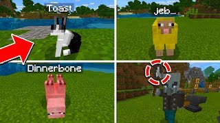 5 NAME TAG EASTER EGGSTRICKS IN MINECRAFT PC PE XBOX [upl. by Hereld]