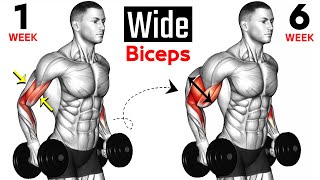 15 BEST Exercises for WIDER BICEPS [upl. by Odette]