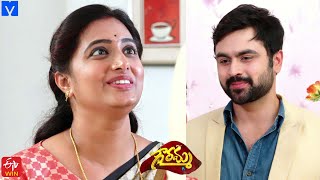 Gowramma Serial Promo  4th September 2021  Gowramma Telugu Serial  Mallemalatv [upl. by Ellatsirhc139]