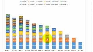 Excel Cohort Analysis [upl. by Nnil53]