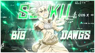 🔭SENKU ISHIGAMI⚗️  DR STONE 🪨 BIG DAWGS「AMVEDIT」 [upl. by Namlak]