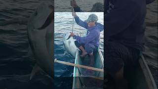 Legit Lure vs Giant Trevally fishing shortvideo jackpot giant [upl. by Oicneserc185]