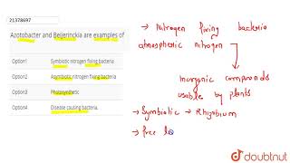 Azotobacter and Beijerinckia are examples of [upl. by Gonsalve]