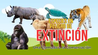 Especies en Peligro de Extinción Una Llamada a la Conservación 🦏 🦍 🐅 🐘 [upl. by Batha]