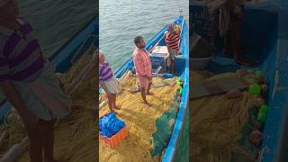 Fishing boat । fishingboat sea [upl. by Ulyram]