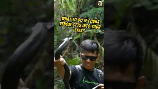 snake venom gets into eyes wildlife snake snakevenom shorts [upl. by Sherwynd]