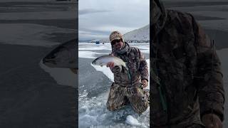 COLORADO ICE FISHING  Angler’s Covey Ice Fishing For Trout troutfishing [upl. by Rodablas233]