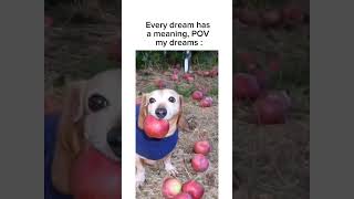 Apple dog core dog ai trend image [upl. by Edra146]