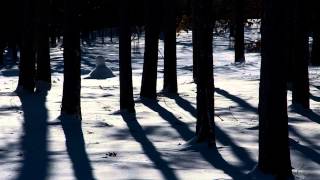 Snowbound by Genesis in 1080p HD [upl. by Kirrad373]