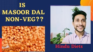 Is Masoor Dal NonVeg  Why is masoor dal considered as nonveg Is Masoor dal satvik [upl. by Gearhart]