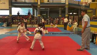 Campeonato Cearense de Karatê [upl. by Nnylylloh]