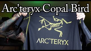 Arcteryx Copal Bird TShirt Size Guide And Review [upl. by Ramey]