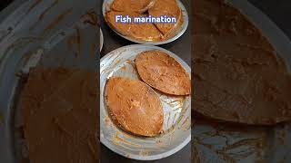 Minivlog 7 as on 21624 fish marination  fish fry  vanjaram  Sankara fish fishfryrecipe seer [upl. by Daniala]