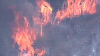 News 20 coverage of Yarnell Fire [upl. by Robyn]