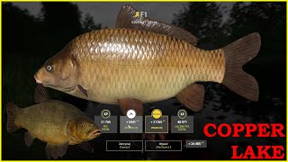 Kvolsdorfsky amp Trophy F1 copper lake  Russian Fishing 4 mjplay [upl. by Wymore]