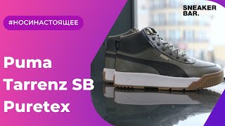 Puma Tarrenz SB Puretex GreenBlack 37055208 Onfeet Review  sneakersby [upl. by Eustace]