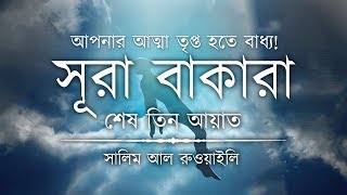 💖 আপনার অন্তর তৃপ্ত হতে বাধ্য┇ সূরা বাকারার শেষ তিন আয়াত┇Recited By Salem Ruwaili ┇An Nafee┇আন নাফী [upl. by Anigal]