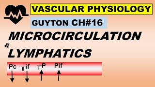 Physiology Guyton Ch16  Microcirculation amp Lymphatics  Capillary Exchange  Lymph Flow [upl. by Dianthe]