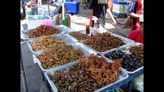 Entomophagy eating insects for greater efficiency [upl. by Bohun]