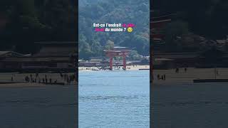 📍 Miyajima Japon japon voyage placetovisit [upl. by Mickey625]