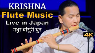 Krishna Flute Music  Relaxing Flute Music  Flute Song  Bansuri  Basuri Dhun  Instrumental Music [upl. by Aldercy]