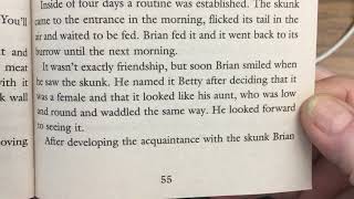 quotBrians Winterquot Chapter 6 [upl. by Jez793]