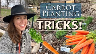 Tricks for Sowing Carrots Improve Germination amp Spacing [upl. by Sherborne430]