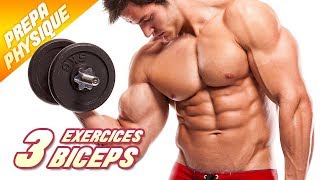 3 EXERCICES POUR AVOIR DES BICEPS ÉNORMES [upl. by Tadd48]