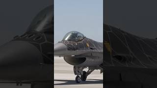 f16 fighter pilot airforce military us [upl. by Charters]