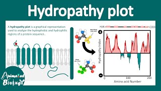 Hydropathy plot  How to interpret Hydropathy plot Transmembrane protein  Cell biology [upl. by Currie]