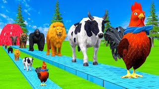 Paint amp Animals CowGorillaElephantLionTigerDinosaur Fountain Crossing Transformation Cartoon [upl. by Oinotnanauj]