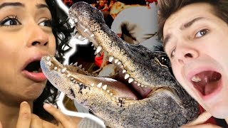 LIZA KOSHY  A HUGE ALLIGATOR w DAVID DOBRIK  BRIAN BARCZYK [upl. by Vieva]