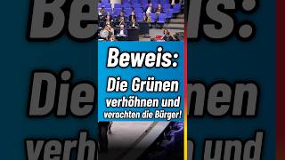 AfD beantragt finanzielle Entlastung der Bürger Grüner spuckt den Menschen als Antwort ins Gesicht🤮 [upl. by Ainyt664]