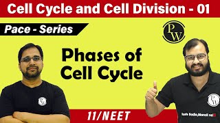 Cell Cycle and Cell Division  01  Phases of Cell Cycle  Class 11  CBSE  NEET  Pace Series [upl. by Tnairb]