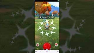 Yes bro Shiny Illumise in Pokémon Go yesbro pokemon shiny illumise pokemongo shinypokemon [upl. by Samanthia]