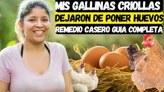 Mis gallinas criollas dejaron de poner huevos remedio casero guia completa [upl. by Grory]