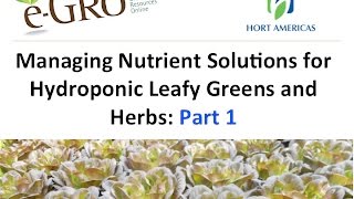 Managing Nutrient Solutions for Hydroponics Part 1 [upl. by Ybanrab]