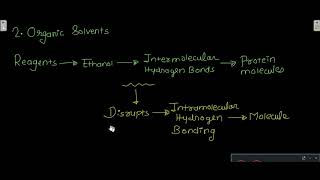 Denaturation of proteins [upl. by Clemente]