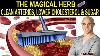 THE MAGICAL HERB THAT CLEANS ARTERIES LOWERS CHOLESTEROL amp SUGAR  Dr Alan Mandell DC [upl. by Forster85]