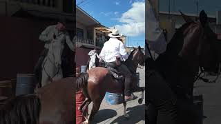 Horse Rider fall at horse riding Festival in Cabalgata Tope Palmares Costa Rica [upl. by Rotkiv]